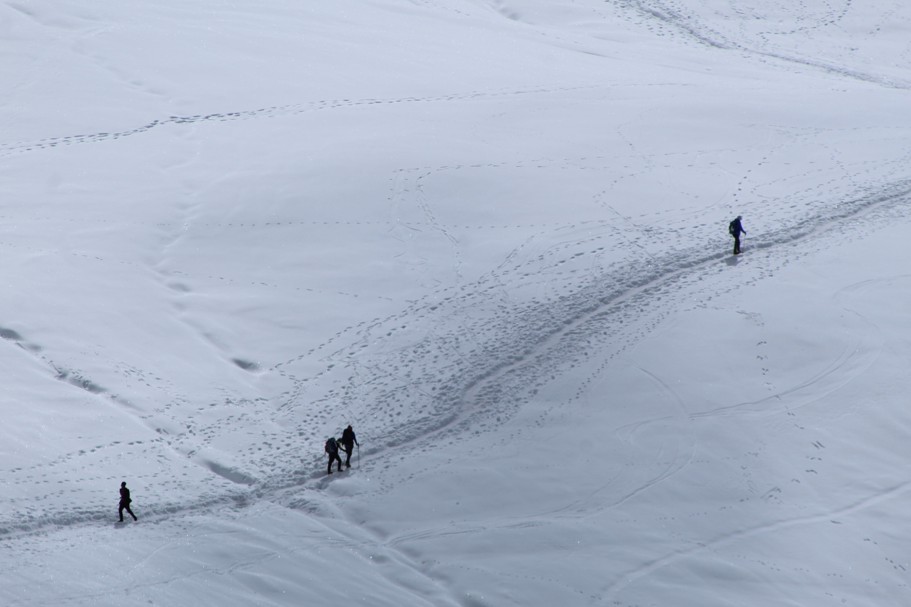 Sherpini col pass trek - makalu base camp trek - amphu lapcha pass trek - mera peak climbing