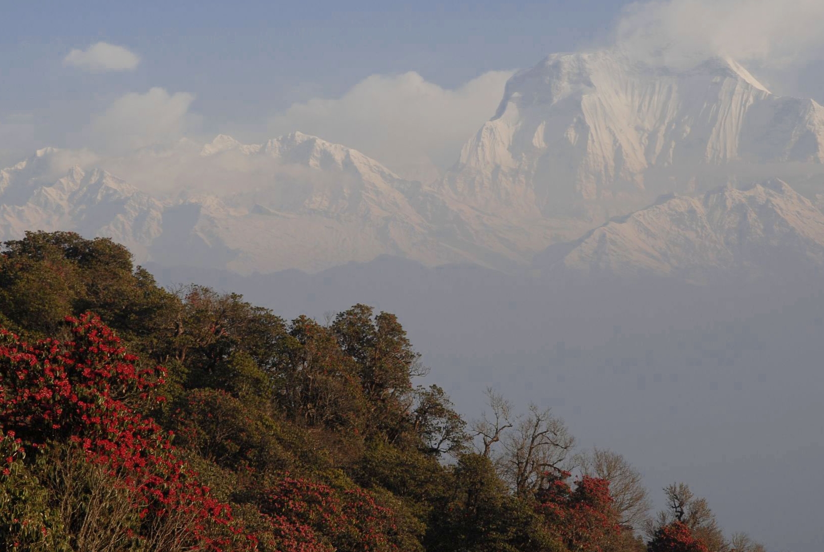 annapurna poonhill
