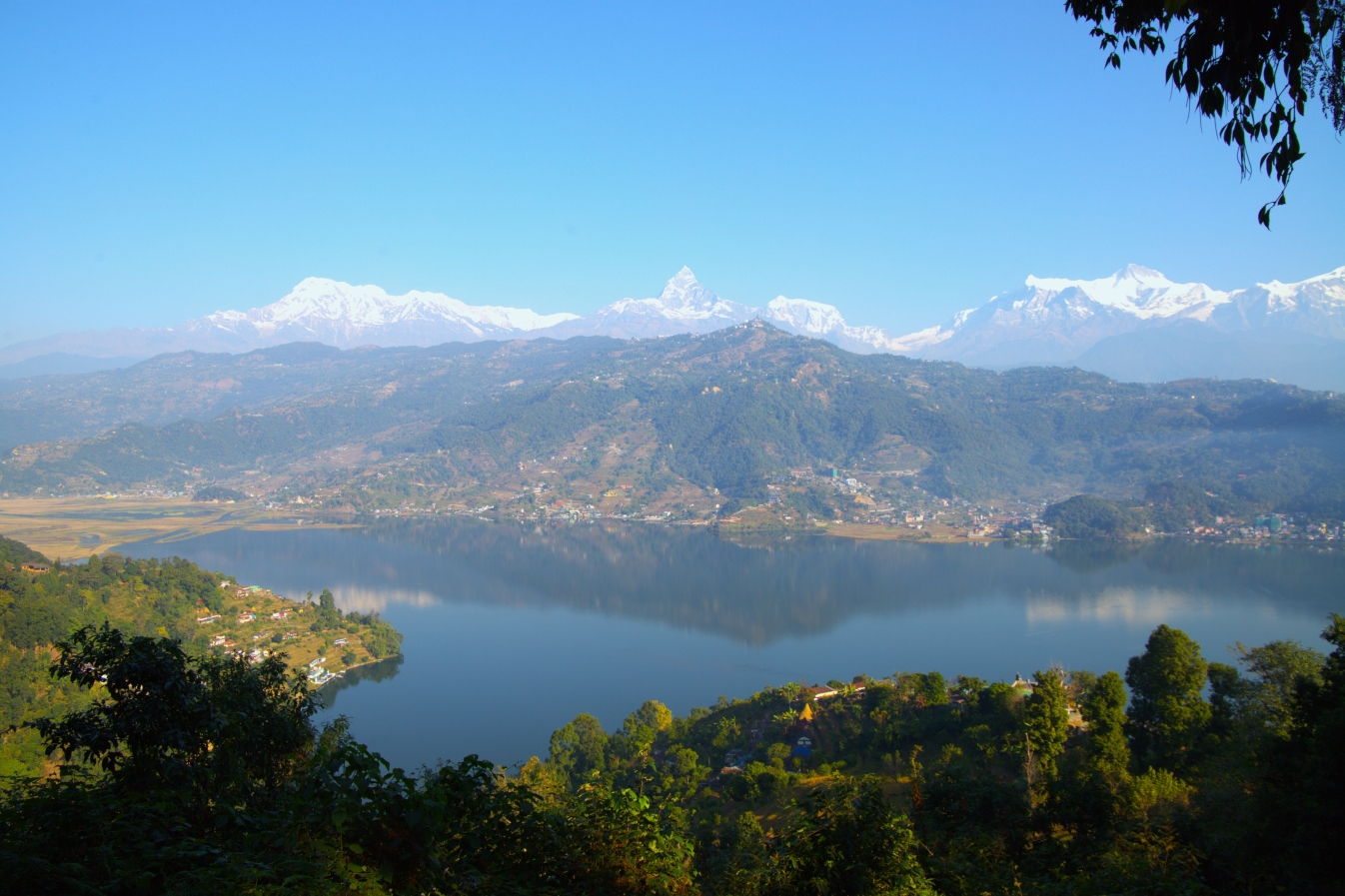 Phewa lake from top