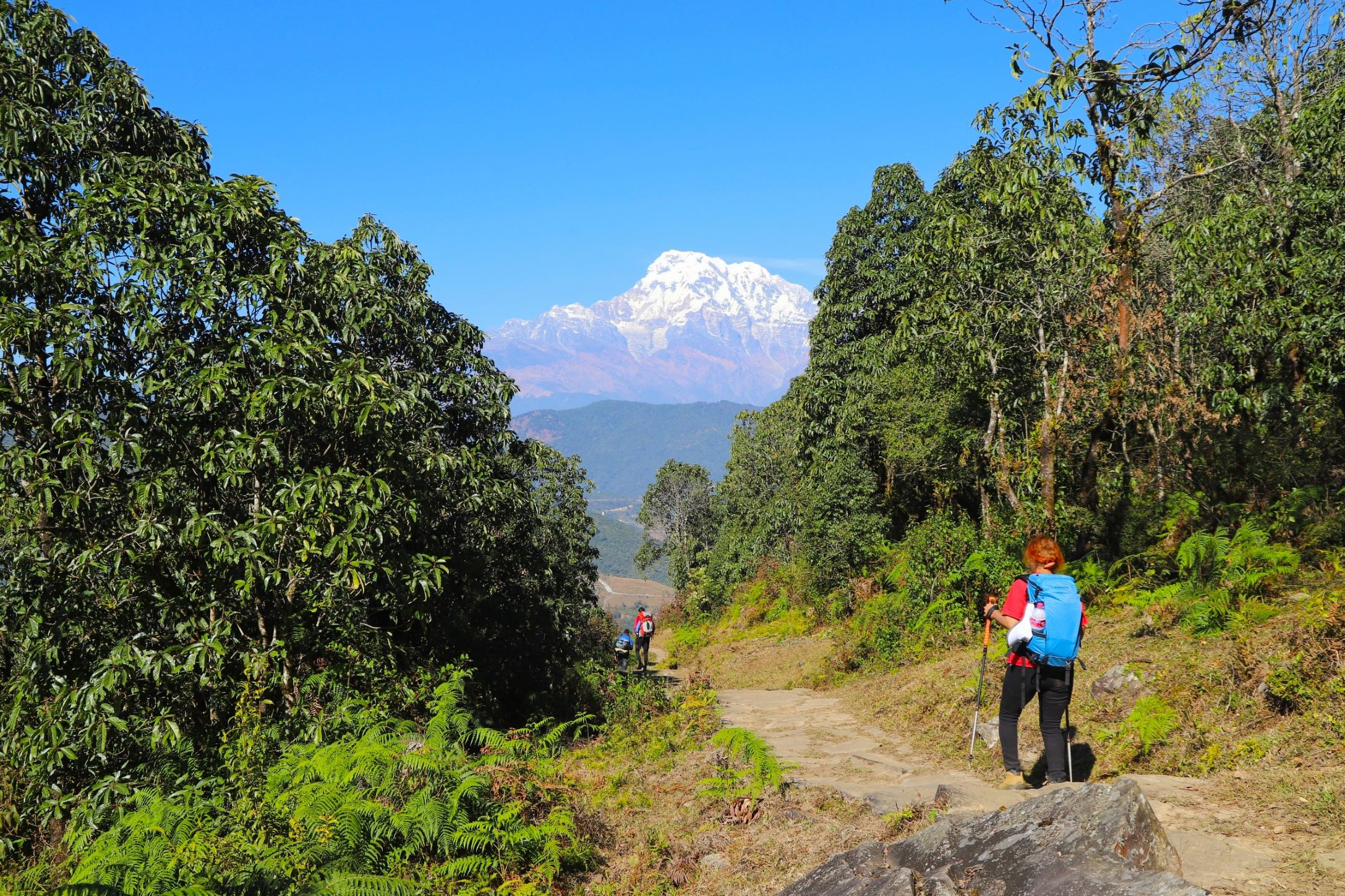 Panchase Trekking