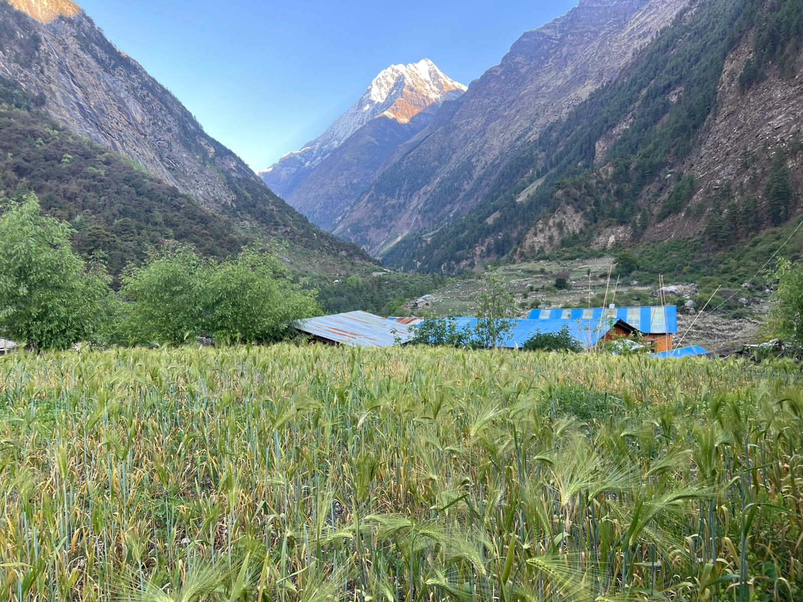 nepal manaslu circuit treking