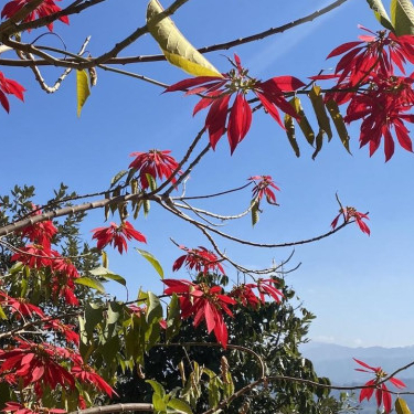 Hiking in Nepal