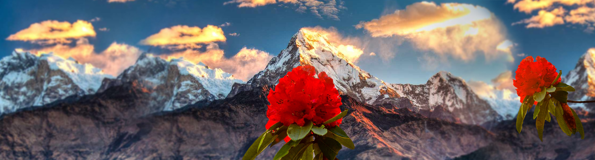 Annapurna Circuit: Finding Your Perfect Season - Sun-kissed Rhododendrons or Crisp Mountain Air?