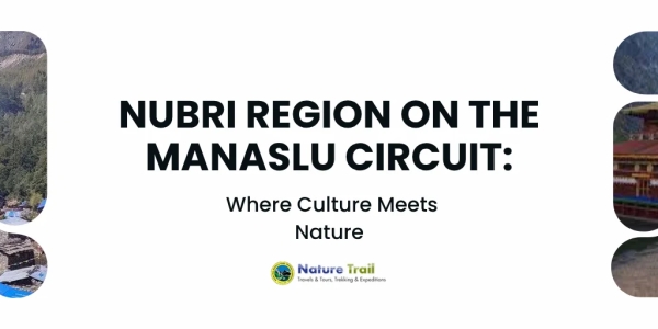 Explore the Nubri Region on the Manaslu Circuit: Where Culture Meets Nature