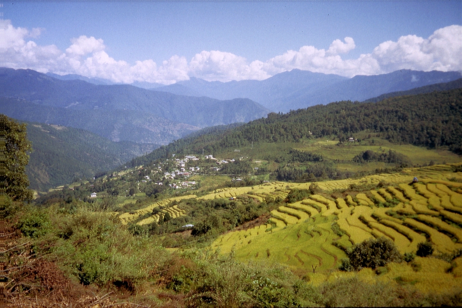 Gangtey Trekking Tour