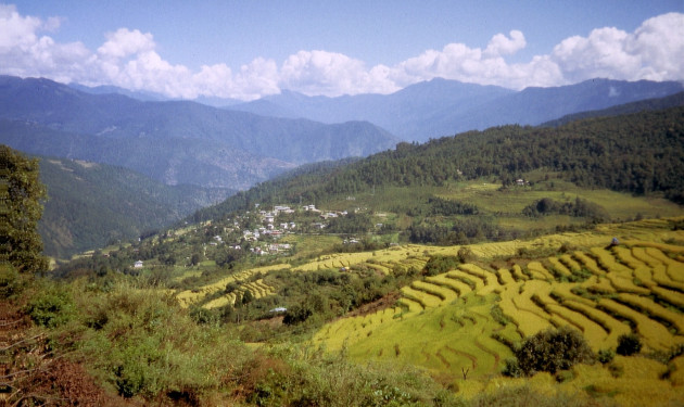 Gangtey Trekking Tour