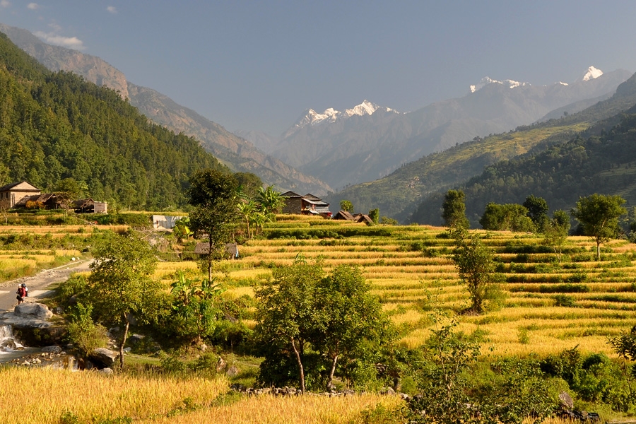 Simikot-Hilsa Limi Circuit Trek